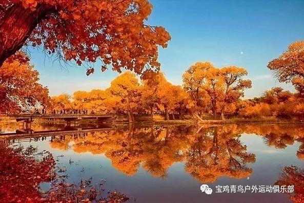 大央企信托--浙江湖州1年期政信
