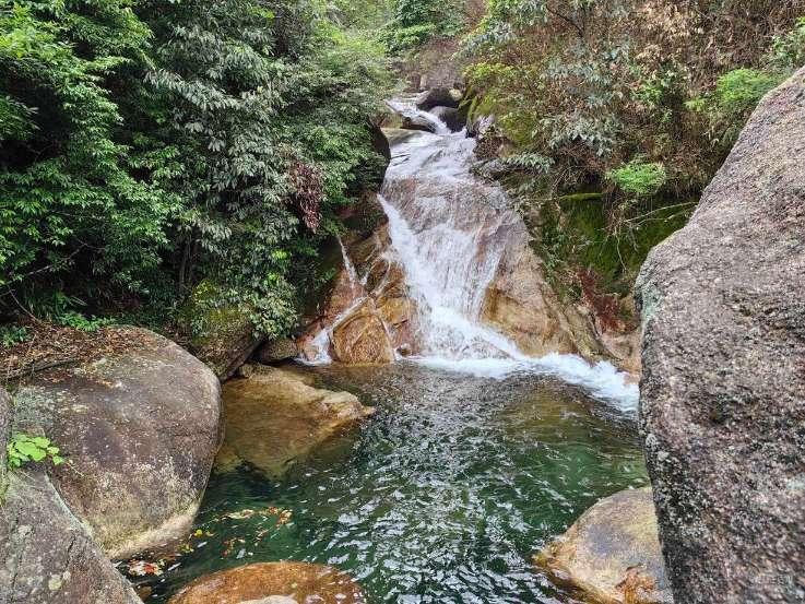 卡通小车找不同